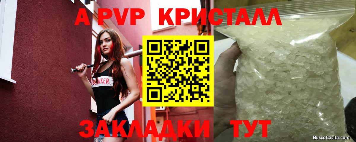 Альфа ПВП СК Сосновоборск