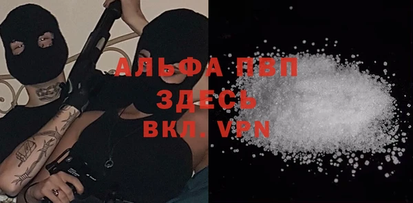 соль ск Алексин