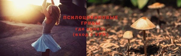 марки lsd Корсаков