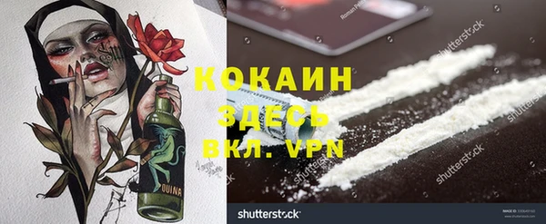 соль ск Алексин