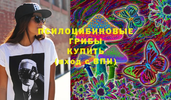ПСИЛОЦИБИНОВЫЕ ГРИБЫ Протвино