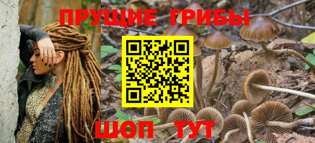 Галлюциногенные грибы Magic Shrooms Сосновоборск