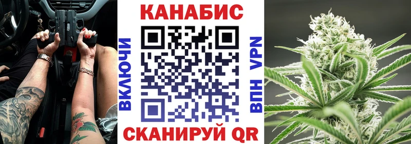 Бошки Шишки ГИДРОПОН  Сосновоборск 
